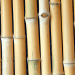 Jakie są Zalety i Wady Używania Paneli Bambusowych w Twoim Domu?